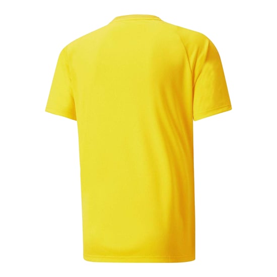 Puma Heren TeamVision Voetbalshirt (Geel/Zwart) - Image 2