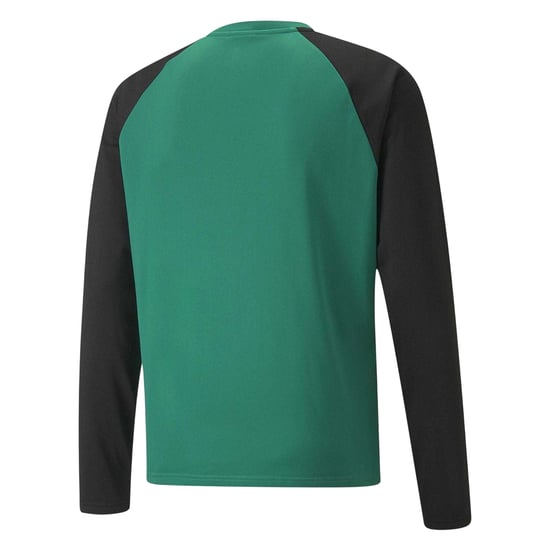 Puma Heren TeamLIGA Langsleeve T-Shirt (Groen/Zwart) - Image 2