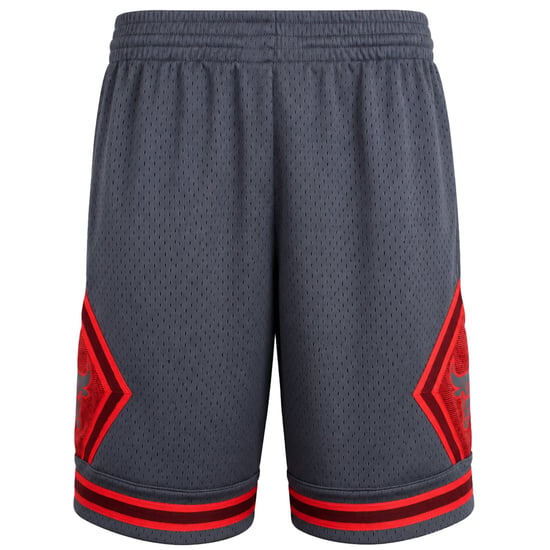 Mitchell & Ness NBA Chicago Bulls Space Swingman Mens Grey Shorts - Image 1
