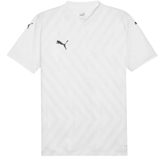 Puma Heren Teamglory Jersey T-Shirt (Wit/Zwart/Grijs) - Image 1