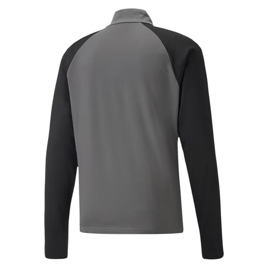 Puma TeamLIGA fleecejack met kwartrits voor kinderen (Grijs) - Image 2