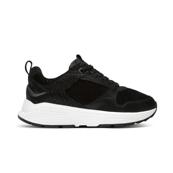 Xsensible Newport gx - Image 1
