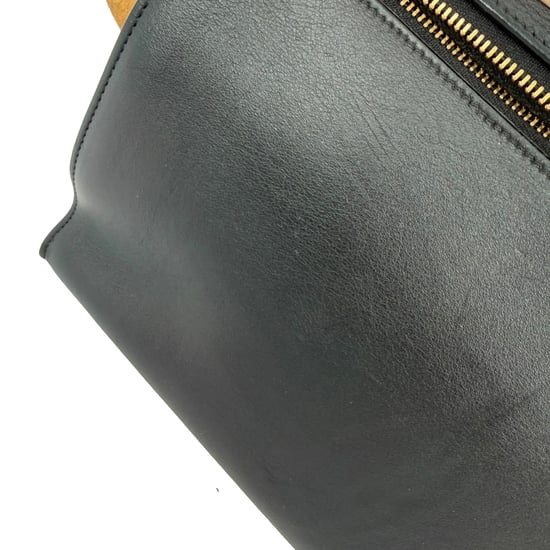 Celine Medium Trapeze Bag in Multicolor Leather - Image 6