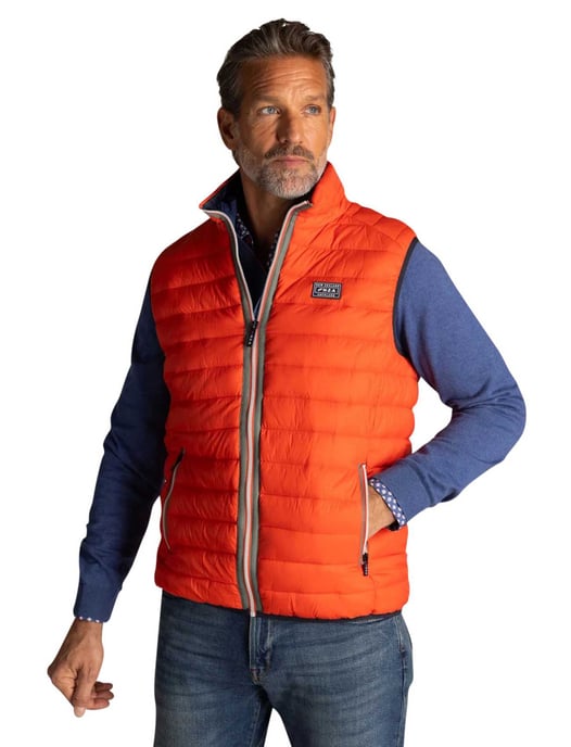 Oranje bodywarmer New Zealand waterafstotend en gewatteerd - Image 1