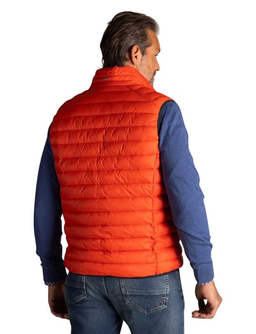 Oranje bodywarmer New Zealand waterafstotend en gewatteerd - Image 2