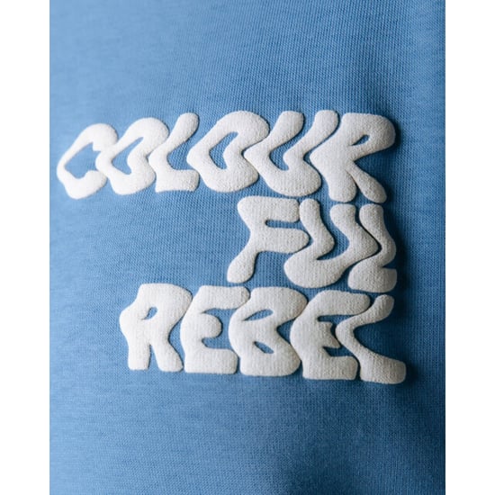 Colourful Rebel Sweat ws418312 logo - Image 2