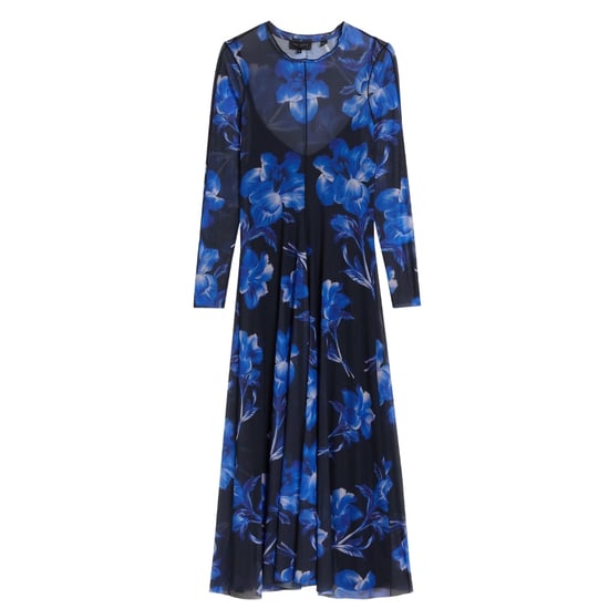 Ted Baker Rozeen Mesh Midi-jurk Met Lange Mouwen En Print In Blauw - Image 1