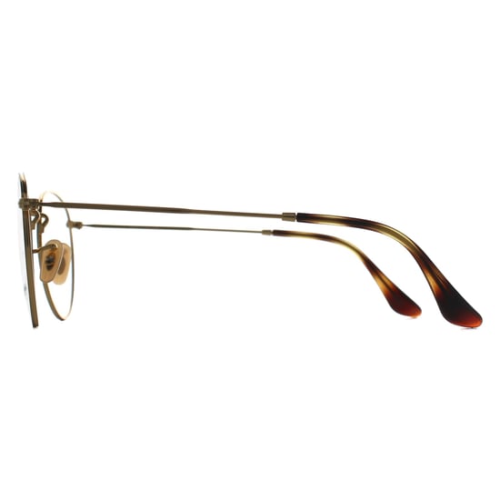 Ray-Ban Round Unisex Polished Havana on Gold RX3447V Round Metal - Image 3