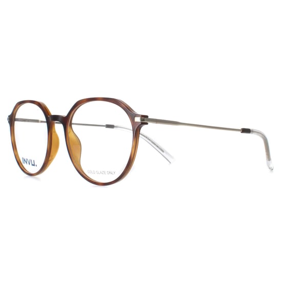 INVU Round Unisex Honey Tortoise Demi Gold B4117 - Image 2