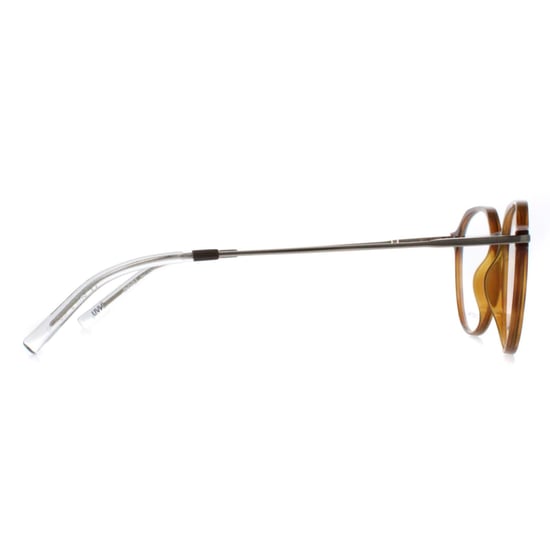 INVU Round Unisex Honey Tortoise Demi Gold B4117 - Image 4