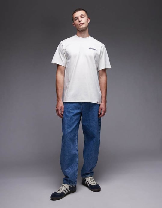 Dickies Statesville grafisk hästsko tryck t-shirt i off-white - Image 2