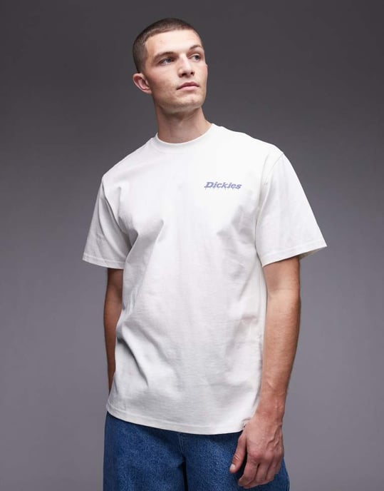 Dickies Statesville grafisk hästsko tryck t-shirt i off-white - Image 3