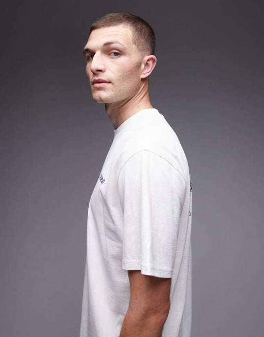 Dickies Statesville grafisk hästsko tryck t-shirt i off-white - Image 4