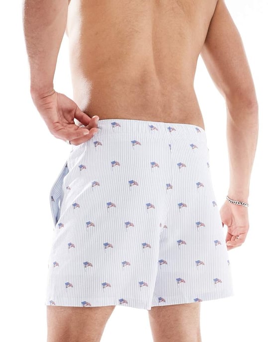 Hollister tryckta amerikanska flaggan badshorts i ljusblå - Image 2