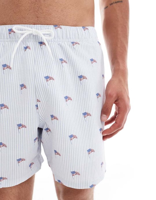 Hollister tryckta amerikanska flaggan badshorts i ljusblå - Image 4