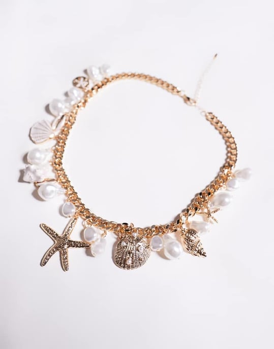 ALDO Rivierra snäcka och sjöstjärna chunky charm halsband i guld - Image 2