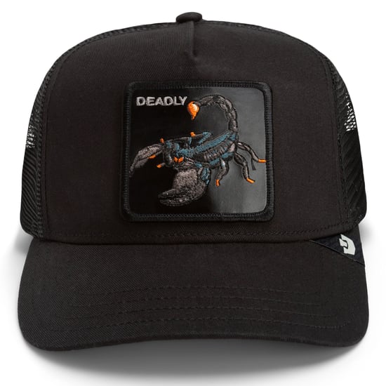 Goorin Bros. Pet - Image 1