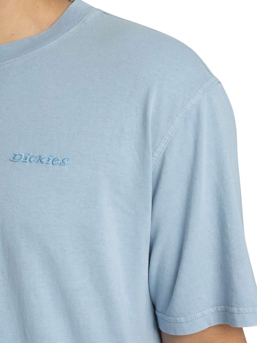 Dickies Plentywood T-Shirt, Blauw - Image 4