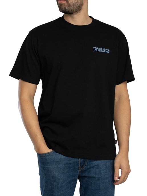 Dickies Fairland T-Shirt Met Grafische Print Op De Achterkant, Zwart - Image 1