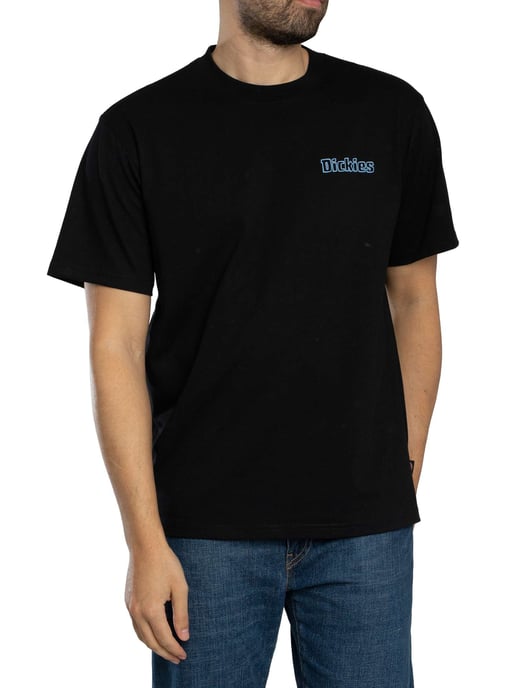 Dickies Fairland T-Shirt Met Grafische Print Op De Achterkant, Zwart - Image 2