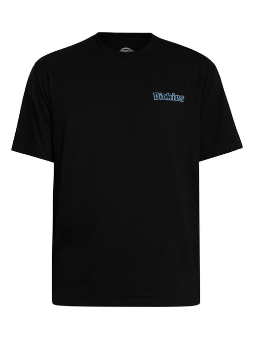 Dickies Fairland T-Shirt Met Grafische Print Op De Achterkant, Zwart - Image 5