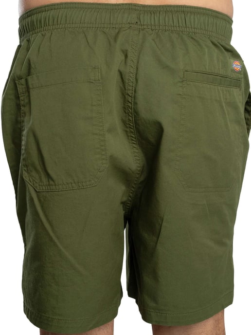 Dickies Pelican Rapids Sweatshorts, Groen - Image 4