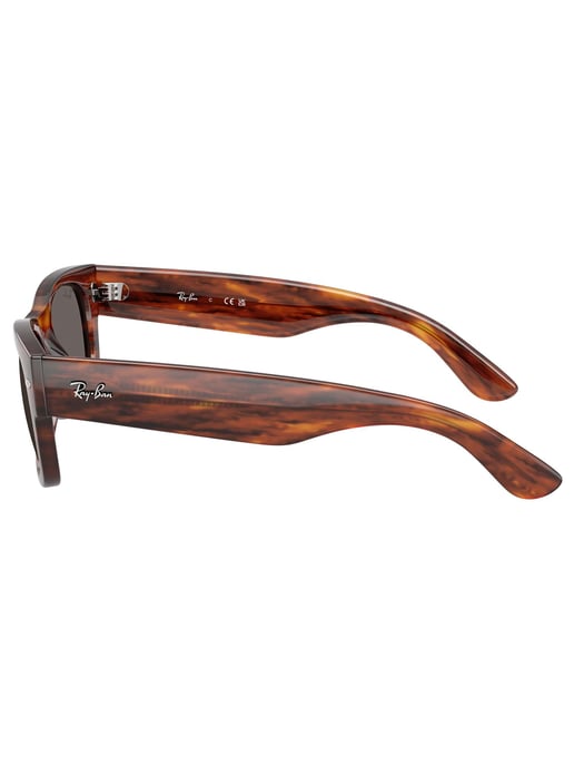 Ray-Ban Mega Wayfarer II Zonnebril, Bruin - Image 6