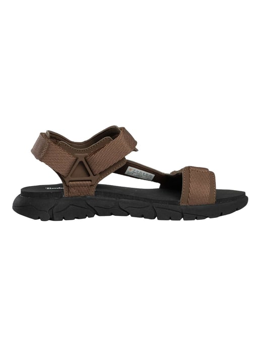 Timberland Windham Trail Sandalen, Bruin - Image 3