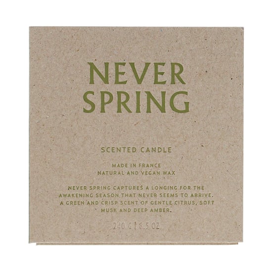 Bjork & Berries Never Spring Scented Candle 240g - Image 3