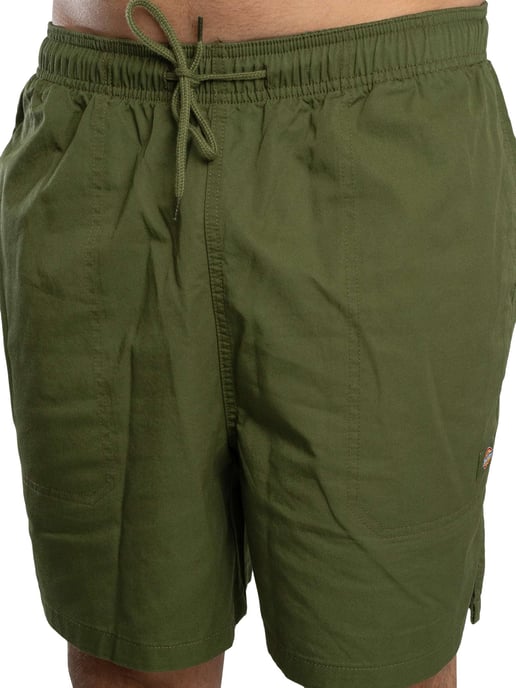 Dickies Pelican Rapids Sweatshorts, Groen - Image 5