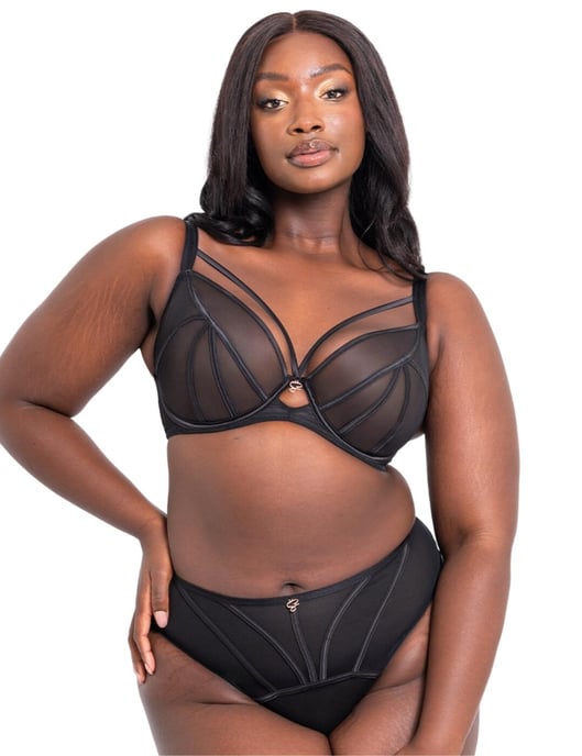 Scantilly by Curvy Kate Senses High Waist Brief - Black - Image 4