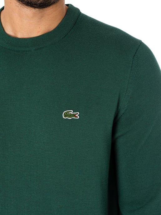 Lacoste Organic Cotton Crew Neck Knit, Green - Image 4