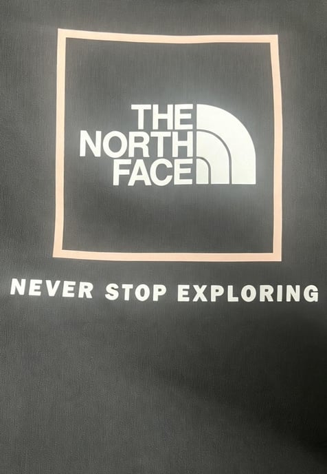 The North Face Womens Back New Fine Box Hoodie in Black - Image 4