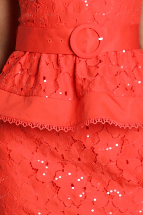 Sequin Lace Midi Dress - Image 4