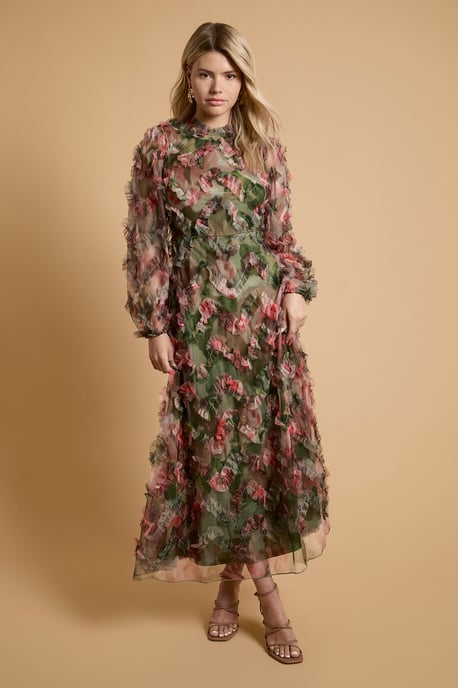 Long Sleeve Printed Mesh Midi Dress - Image 1
