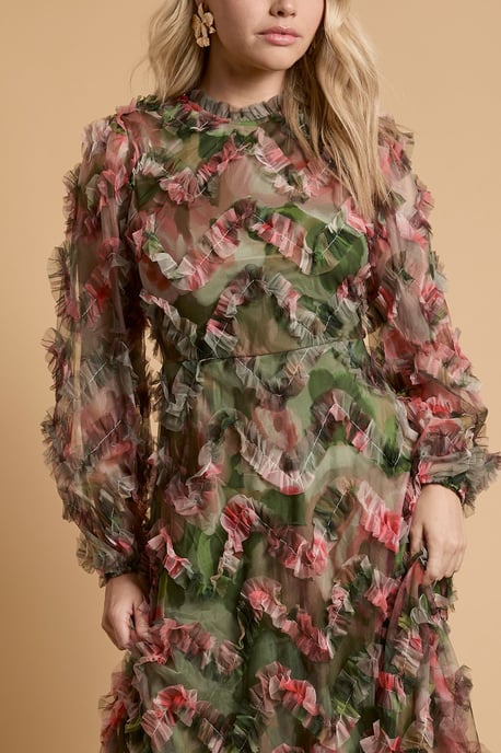 Long Sleeve Printed Mesh Midi Dress - Image 2