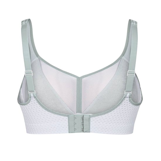 Anita Bustier - Image 2