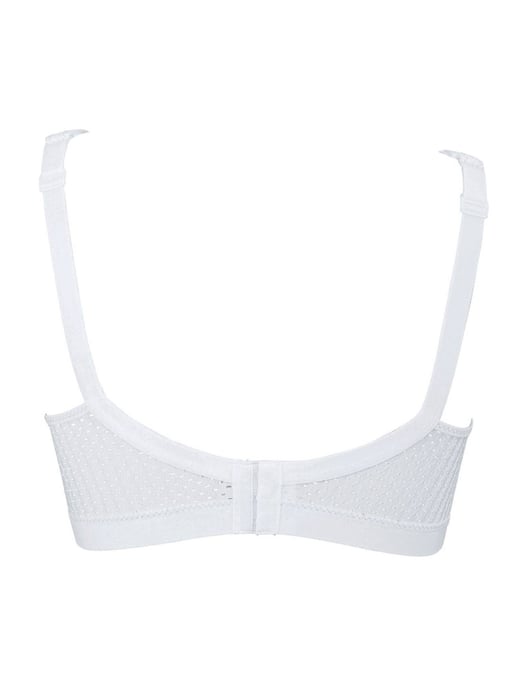 Anita Bustier - Image 4