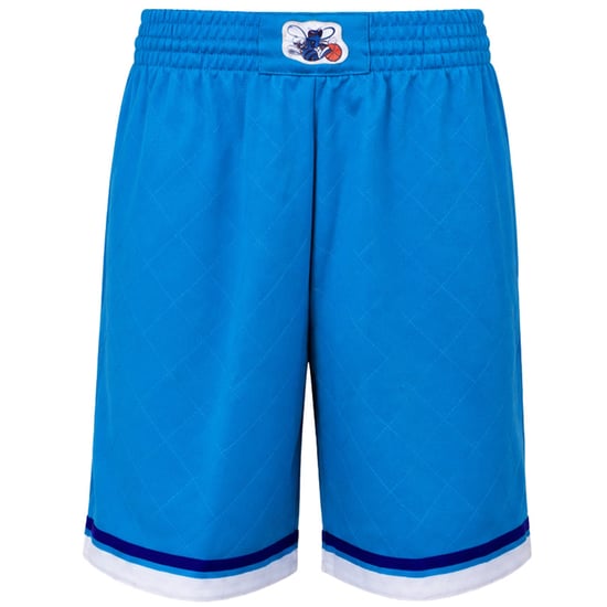 Mitchell & Ness NBA Charlotte Hornets 75th Swingman Mens Teal Shorts - Image 1