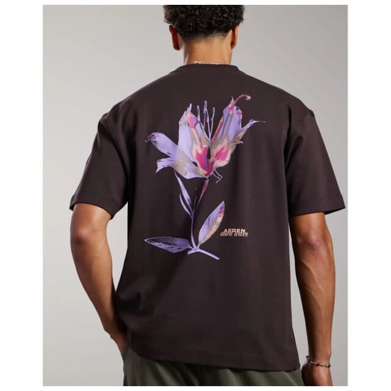 Aeden Manolo tee ganache brown - Image 3