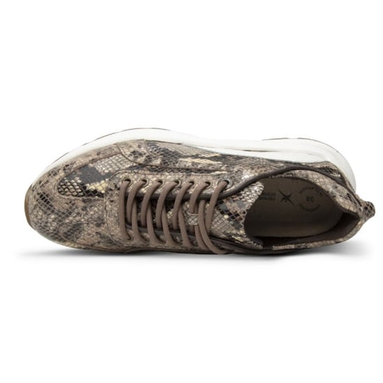 Xsensible Veterschoenen - Image 3