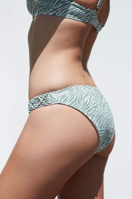 Midja-höga Zebra Hipster Bikiniunderdelar - Image 2