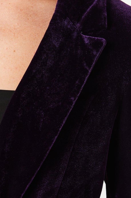Velvet Blazer - Image 5