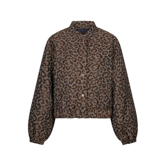 Red Button Rb bomber jaquard grey brown - Image 4