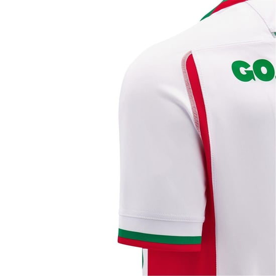 Macron Heren 24/25 Welsh Rugby Union uittenue (Wit, Groen) - Image 4