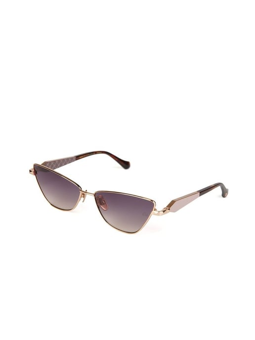Ana Hickmann Zonnebril Goud/Bruin - Image 1