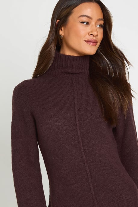 Tall High Neck Seam Detail Knitted Mini Jumper Dress - Image 4