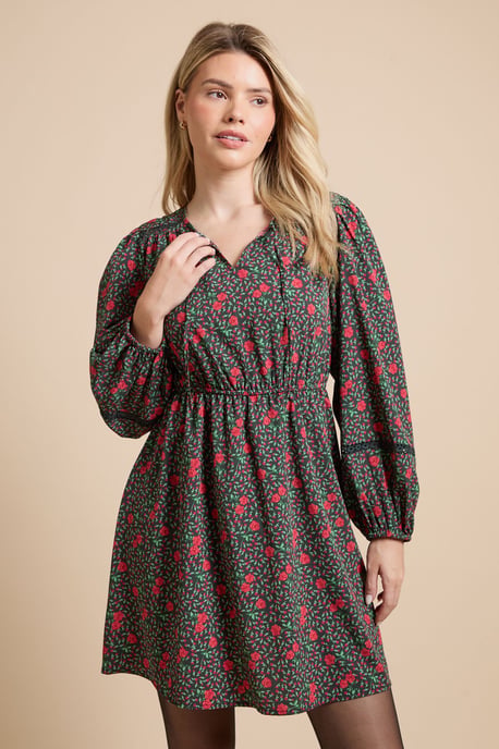Red Rose Lace Insert Yoke Tie Detail Mini Dress - Image 1