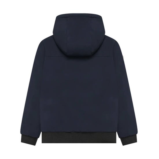 Indian Blue Jack 960855 - Image 3