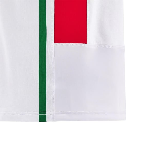 Macron Rugbyshirt voor heren, maat 24/25, van de Welsh Rugby Union (Wit, Groen) - Image 4
